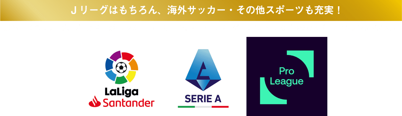Jリーグはもちろん海外サッカーその他スポーツも充実