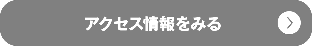 アクセス情報を見る