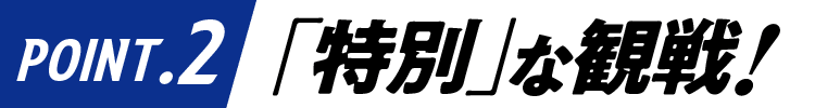 ポイント1:特別な観戦