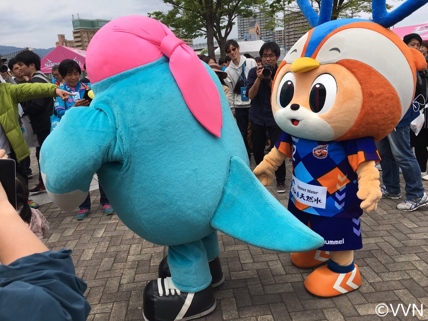 栃木 ココロココ