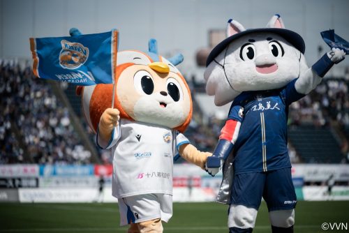 ヴィヴィくんのにっき423．「こがおとかっこいいもふもふっセットと