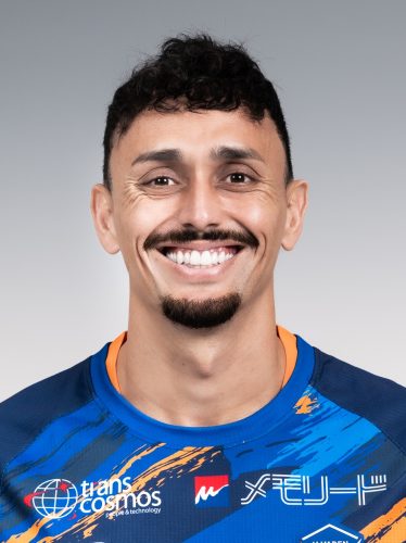 ディエゴ ピトゥカ | V・ファーレン長崎