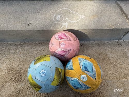 【キッズ交流活動】大園幼稚園でV-TIMEを行いました（11/20） サムネイル